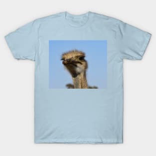 Male African Ostrich T-Shirt